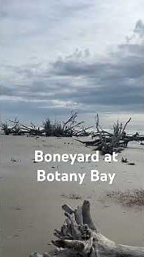 Edisto Island SC