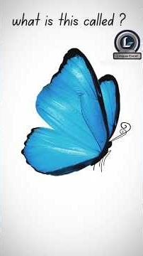 What Is This Called in English? | Daily Vocabulary Short #englishvocabulary #englishlearning