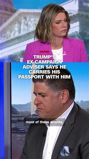 Trump Adviser Discusses Impact of ICE Operations