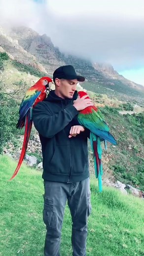 Gone Free Flying on TikTok