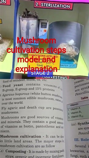 Model to show steps of mushroom cultivation and explanation #biology