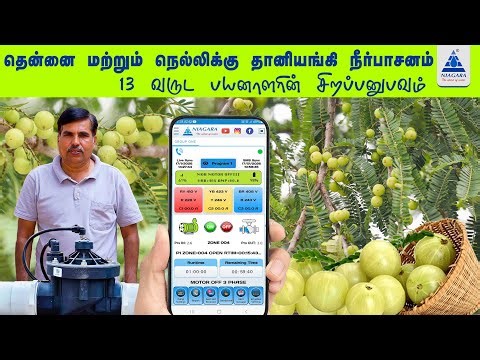 13 Years of Trust: Automated Irrigation for Coconut & Amla Farming | Niagara Water Controller