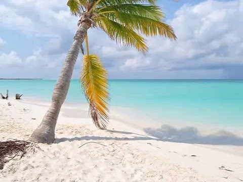 LES PLUS BELLES PLAGES DE CUBA A CAYO LARGO