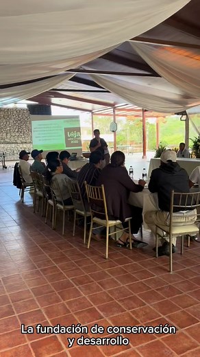 14 reactions | #nature #arboles #micompadre | Mi Compadre | Facebook