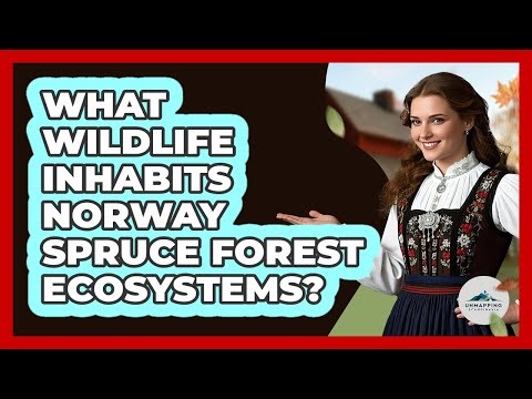 What Wildlife Inhabits Norway Spruce Forest Ecosystems?