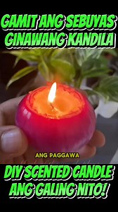 18K views · 309 reactions | Paano gumawa ng diy scented candle using onion 暈 #CANDLE #foryou | Mark of the Jungle Plants | Facebook