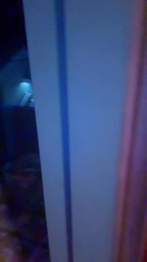 83 reactions · 15 shares | The little blurbs of sun we get in the winter are short. But it does make for the MOST amazing sunrises and sunset! #alaska #sun #winter #funny #fyp #tooshort #happensfast #wherethesungo #sunday | Kaitlin Moore | Facebook