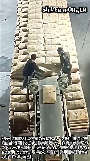 コンベアを活用した袋物の効率的な荷降ろし作業 #worker #process #conveyor #unloading #logistics
