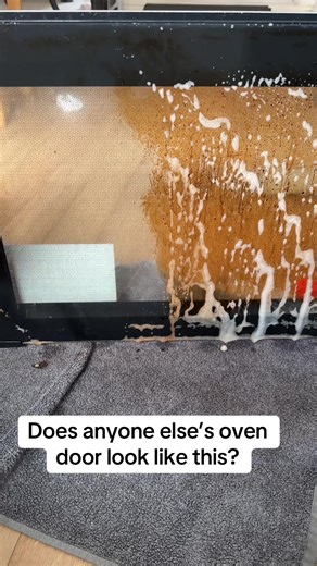 Transform Your Oven Door with This Easy Cleaning Hack