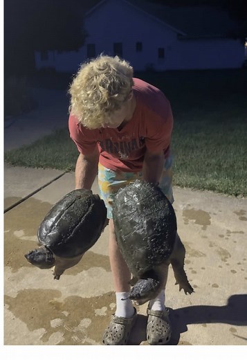 You Won’t Believe How I Caught These Snapping Turtles! #walkersbigadventures #wba #snappingturtle #commonsnappingturtle #turtle #outdoors #wildman