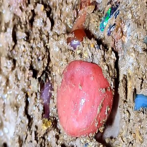 After a severe earthquake. Weird diamonds appear in cracks in cave | Chak Krythink