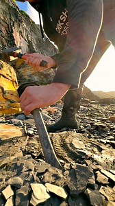 107K views · 2K reactions | We excavated a golden ammonite!  This...