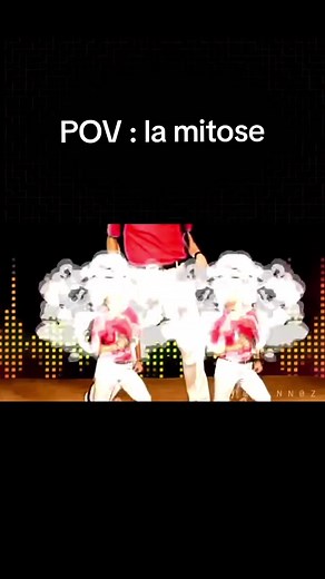 Comprendre la différence entre la méiose et la mitose en SVT