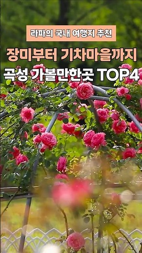 세계장미축제부터 기차마을까지 한 번에 즐길 수 있는 힐링여행지 곡성 장미공원 도림사 침실습지 섬진강기차마을 #곡성가볼만한곳 #곡성여행 #전라남도여행