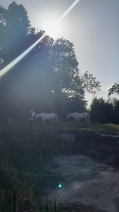 27 reactions · 3 comments | Sam & Jess Explore on Reels | Facebook