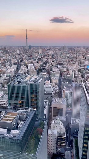 Exploring Tsutaya Books Daikanyama: A Tokyo Book Lover's Paradise