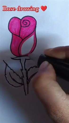 how to draw Rose drawing step by step guide
