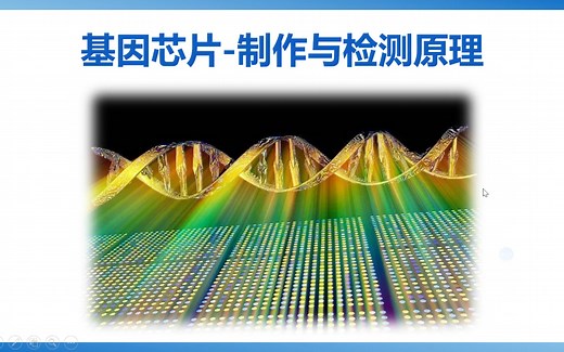基因芯片-制作与检测原理