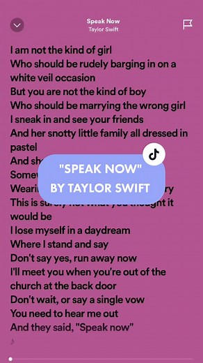 EPISODE 21. | SPEAK NOW - TAYLOR SWIFT #lyrics #music #musiclyricsvideos #foryou #fyp #fypシ #taylorswift