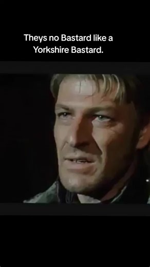 Exploring the Best Pubs on Beverley Road Hull