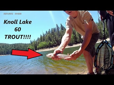 Knoll Lake Campground and Fishing Arizona 2021 60 Trout!!