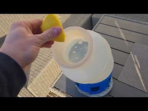 Unsere Tauben am 6./7.03.21 (Tipp Jungtaubenkrankheit)