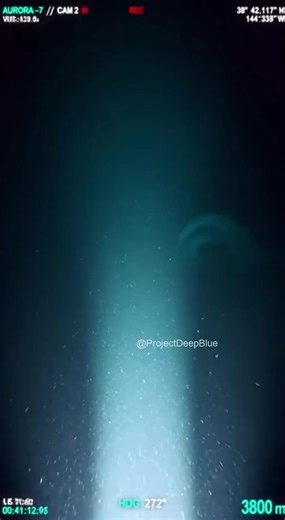 It's probing us. Testing our equipment. #deepsea #tooclose #AI | Project Deep Blue