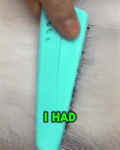 Tired of dealing with fleas in your home? Say goodbye to harmful pests with our essential oil-powered Flea and Tick Control, the natural solution you and your furry friends deserve! Why You'll Love Flea and Tick Control: 🌿 Essential Oil Powered Formula: Our formula uses clove and cottonseed oils, plant-based active ingredients that control fleas and ticks without the need for harsh chemical sprays. 🌿 PET DEFENSE: Spray on carpet, dog beds, carriers, kennels, and play areas. Maximize its use as