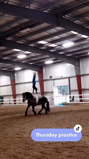 just a normal day #fyp #practice #vaulting #voltige #volti #washington #horse #pierre