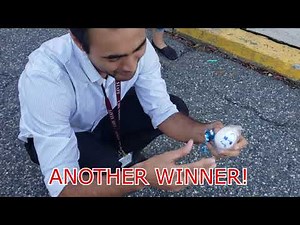 Egg Drop (Physics and Engineering: 1-Day Project)