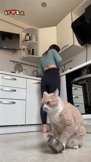 Attention Seekers😅 | I Freaking Love Animals