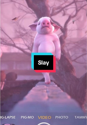 Catwalk Piggy: Fun Cartoon Dance for Kids