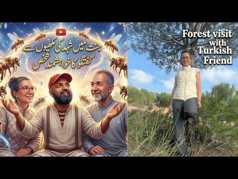 Turkish Village | Forest | chestnut honey | Istanbul | Black Sea | Sile Beach | Couchsurfing