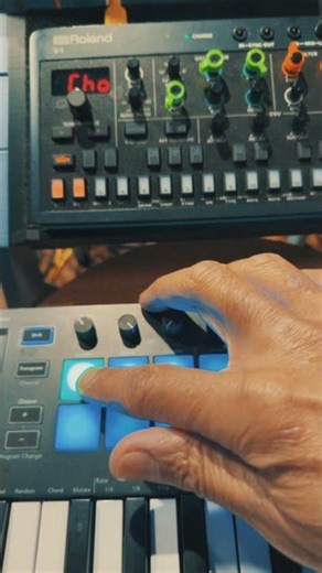 Roland S-1, Koala Sampler, Fingerlab Musyc2, Unfiltered Audio Needlepoint, FAC Polyflo.