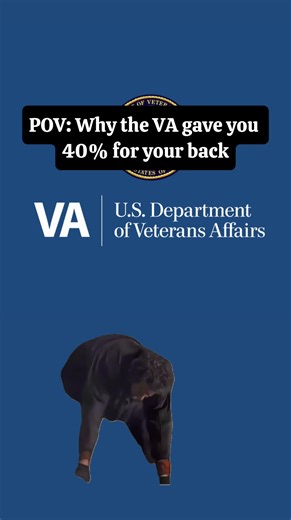 Veterans Share Humorous Memes on TikTok