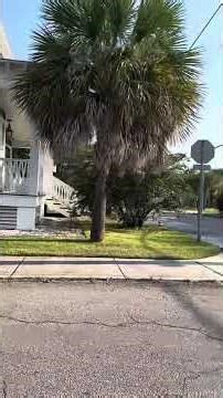 Driving In Bay St. Louis Mississippi
