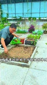 Vegetables thrive in loose, well drained soil, and using fermented rice husks