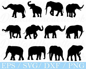 Elephant Svg, Elephant Silhouette, Dxf, Png - Etsy