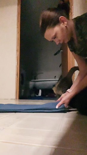 Affectionate Cat Interacts with Person Indoors