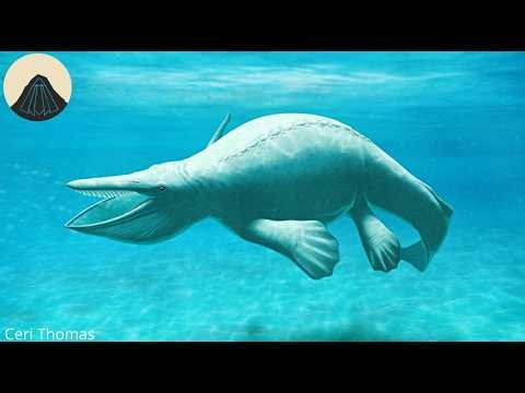 When Reptiles were at their Weirdest