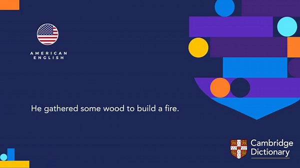 How to pronounce wood (noun) | British English and American English pronunciation