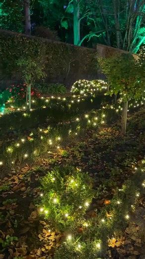 Fe de los Reyes | Filoli (Fight, Love, Live) is a historic estate in San Mateo County, California, featuring a Georgian Revival mansion and 16 acres of... | Instagram