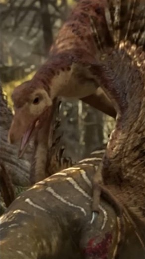 The 4-Winged Dinosaur
