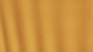 Free Shadow Videos: 4K & HD | No Watermark | Download Now