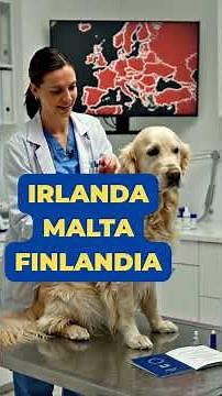 Dogs and Cats in Europe: From April 22nd They Really Control 🐾