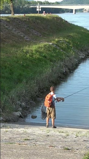 Zander 🐟 Fishing with soft lures #fishing