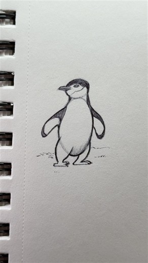 How to Draw a Penguin 🐧✍️ #howtodraw #tutorial #penguin #draw #drawing #sketch #art #artist #shorts