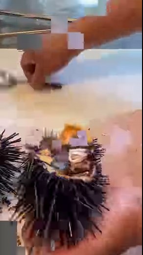 20M views · 150K reactions | World's MOST DELICIOUS Food is INSIDE a Sea Urchin! #SeaUrchin #Uni #GourmetSeafood #DeliciousDiscovery #FoodieAdventure #ExoticCuisine #CulinaryJourney #SeafoodDelicacy #TasteTheWorld | Strictly Dumpling | Facebook
