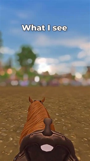I Feel so Dizzy after This 😵‍💫 #sso #starstable #starstableonline #ssoedit #horsegame #horse