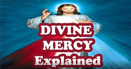 Divine Mercy Explained - What is Divine Mercy from the Bible, History and the Visions of St. Faustina   How to Gain the Divine Mercy Indulgence